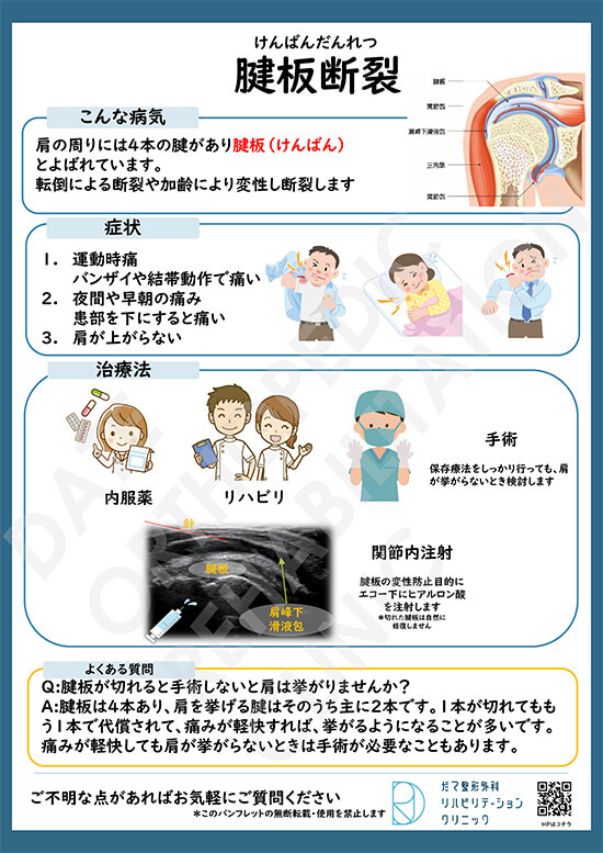 【画像】肩腱板断裂について