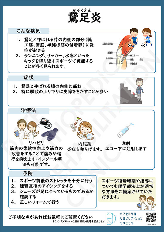 【画像】鵞足炎について