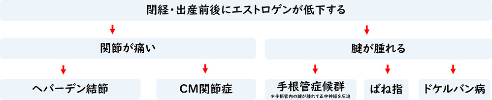 【グラフ】エストロゲン低下による不調図解