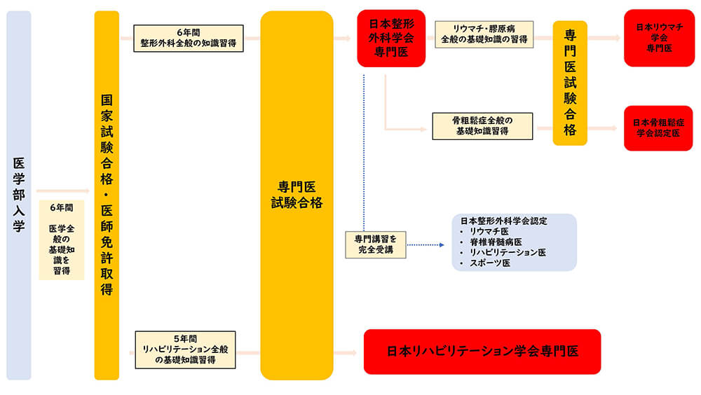 【画像】専門医制度のメリット