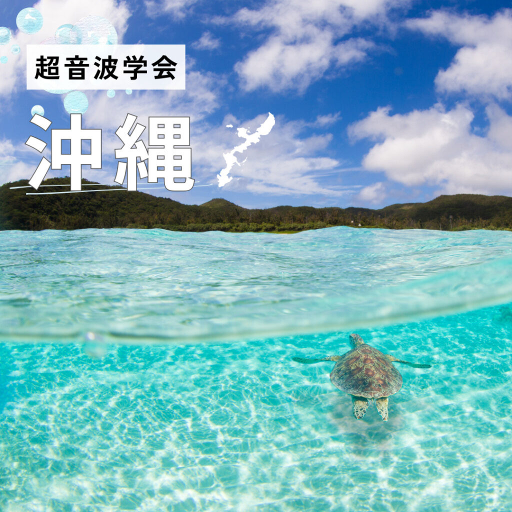 日本整形外科超音波学会　その２